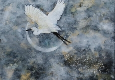 Envol d'aigrette et poussière d'étoiles.