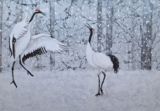 Grues-Japonaises