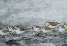 Lattente..sur-la-plage-dOstende.-C.Aubecq