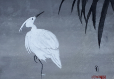 1_Aigrette
