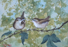 1_Troglodytes-mignons-C.Aubecq-15x15