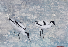 Deux-Avocettes.Catherine-Aubecq