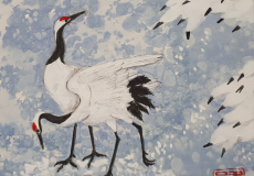 Grues-japonaises3