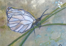 Papillon